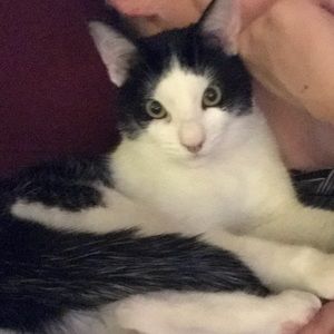 Meet your Posher, Jaylene